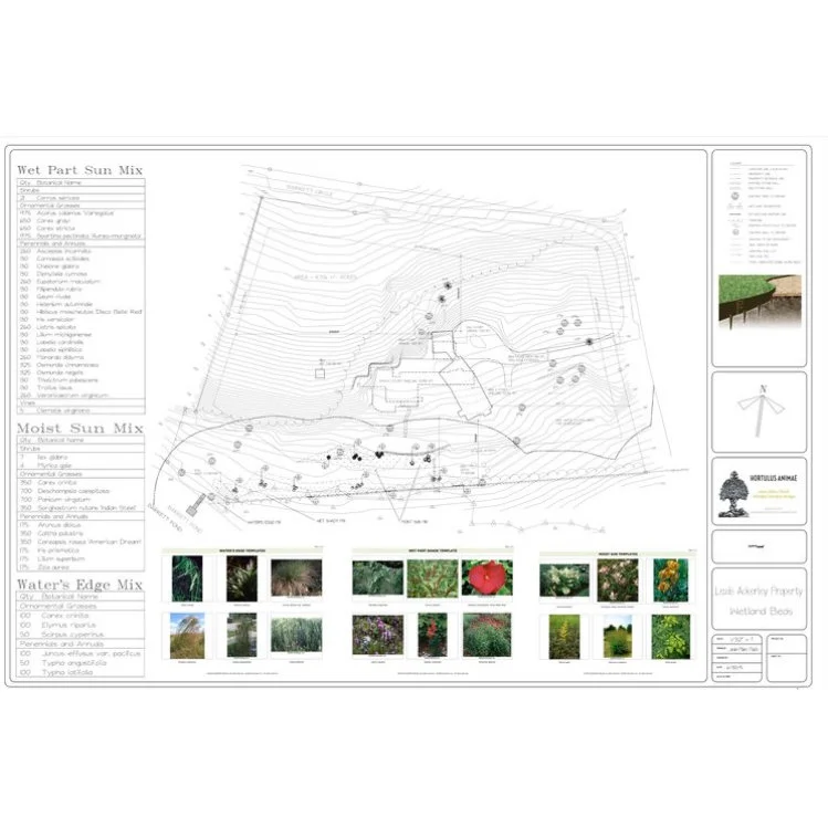 Master Plan development