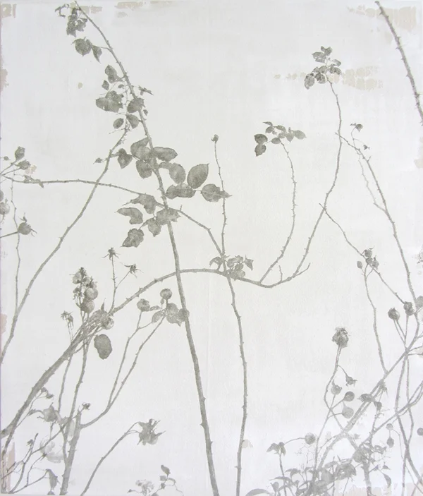 Rose Garden VI