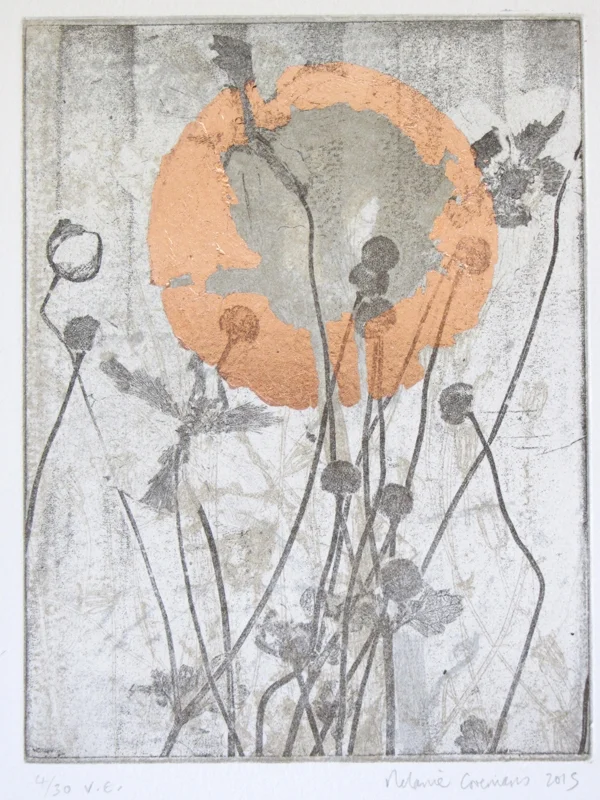 Peg's Rose
