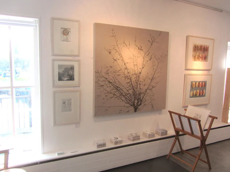 Babylon Gallery, Ely