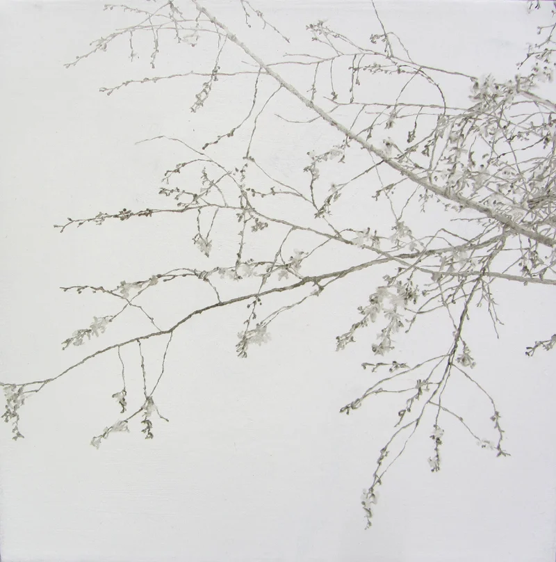 Finding Spring I