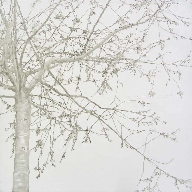Finding Spring II