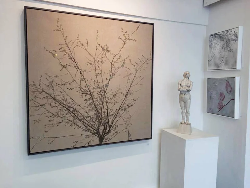 Cornwall Contemporary, Penzance