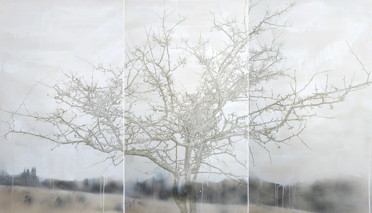 Hawthorn (triptych)