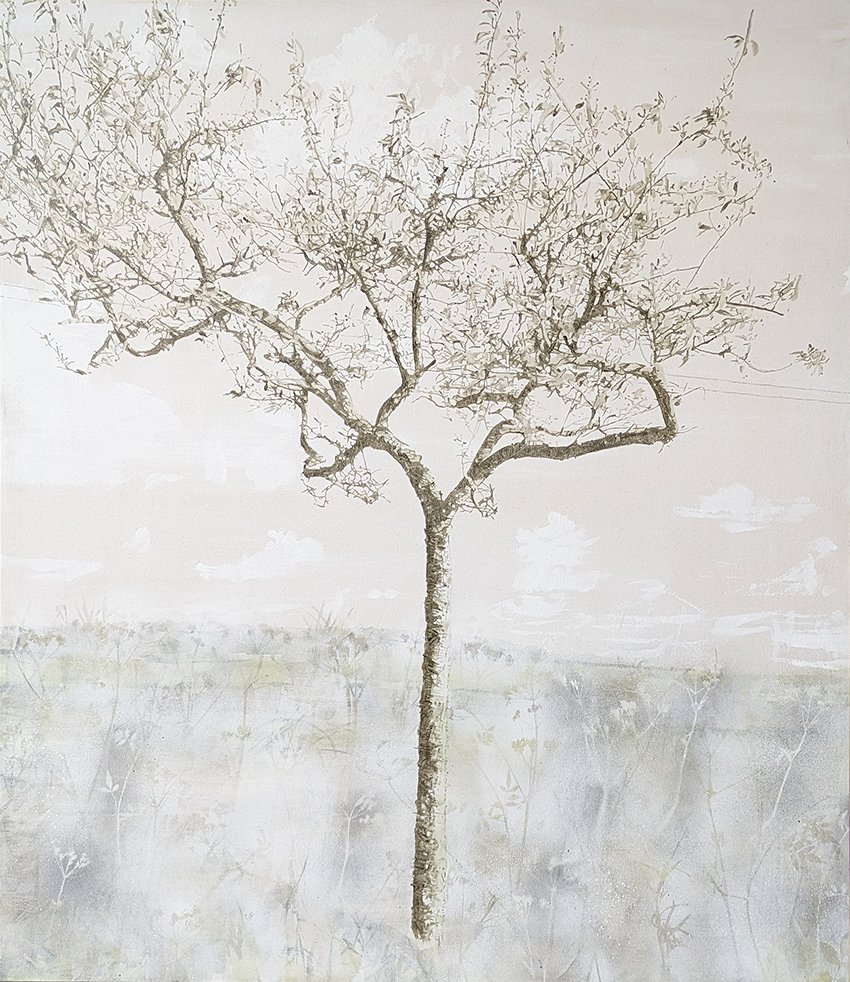 Hawthorn variations #4