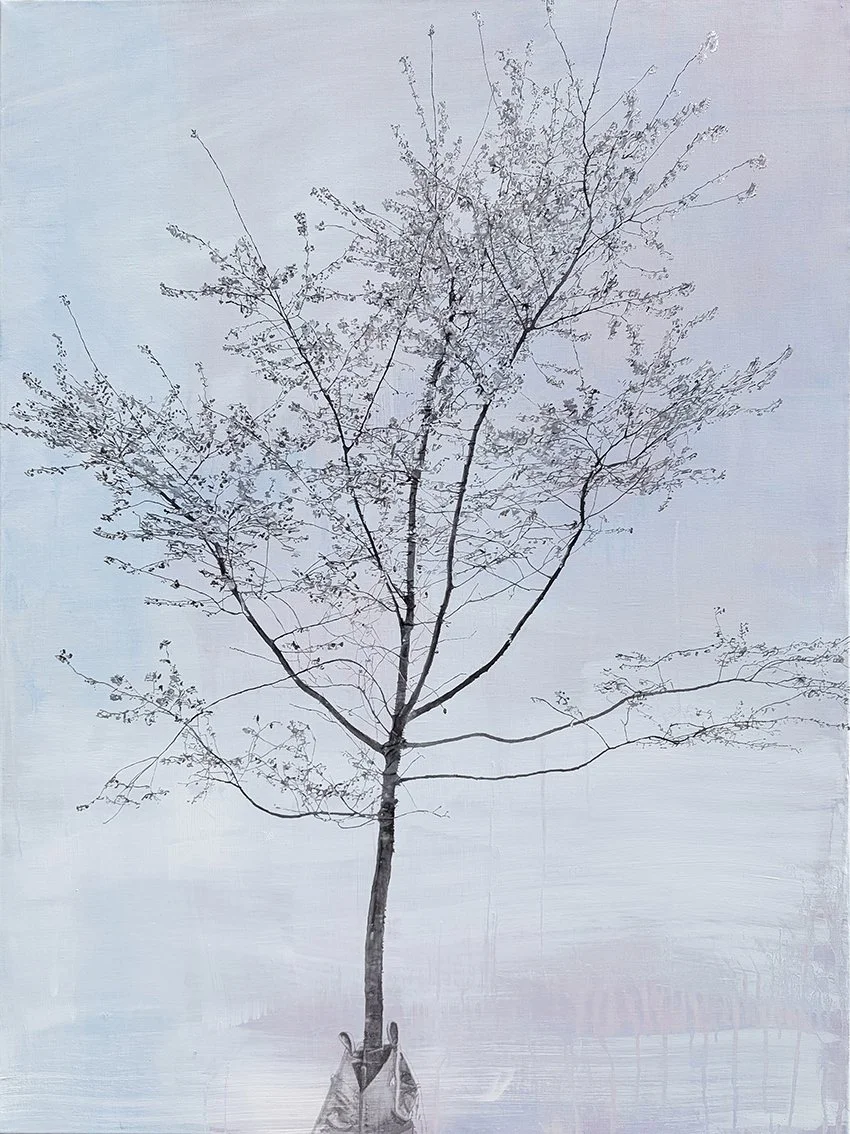 New Year tree