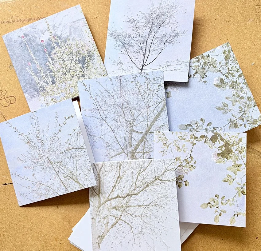 NEW: pack of 7 mixed SQUARE cards with envelopes - £13