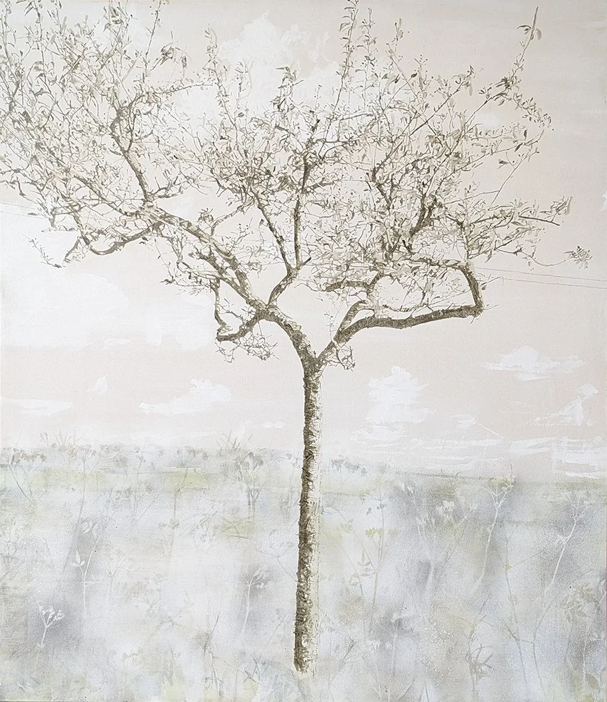 Hawthorn v 4 - web.jpg