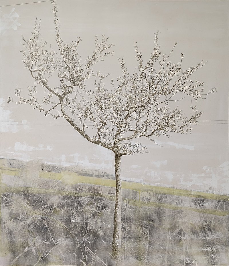 Hawthorn variations #2 - web.jpg
