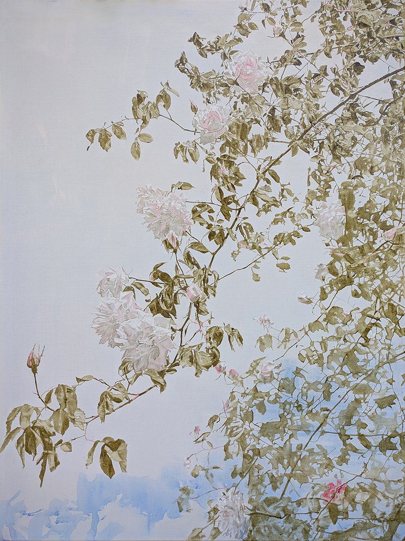 May (Mme. Alfred Carrière), 1 - web.jpg