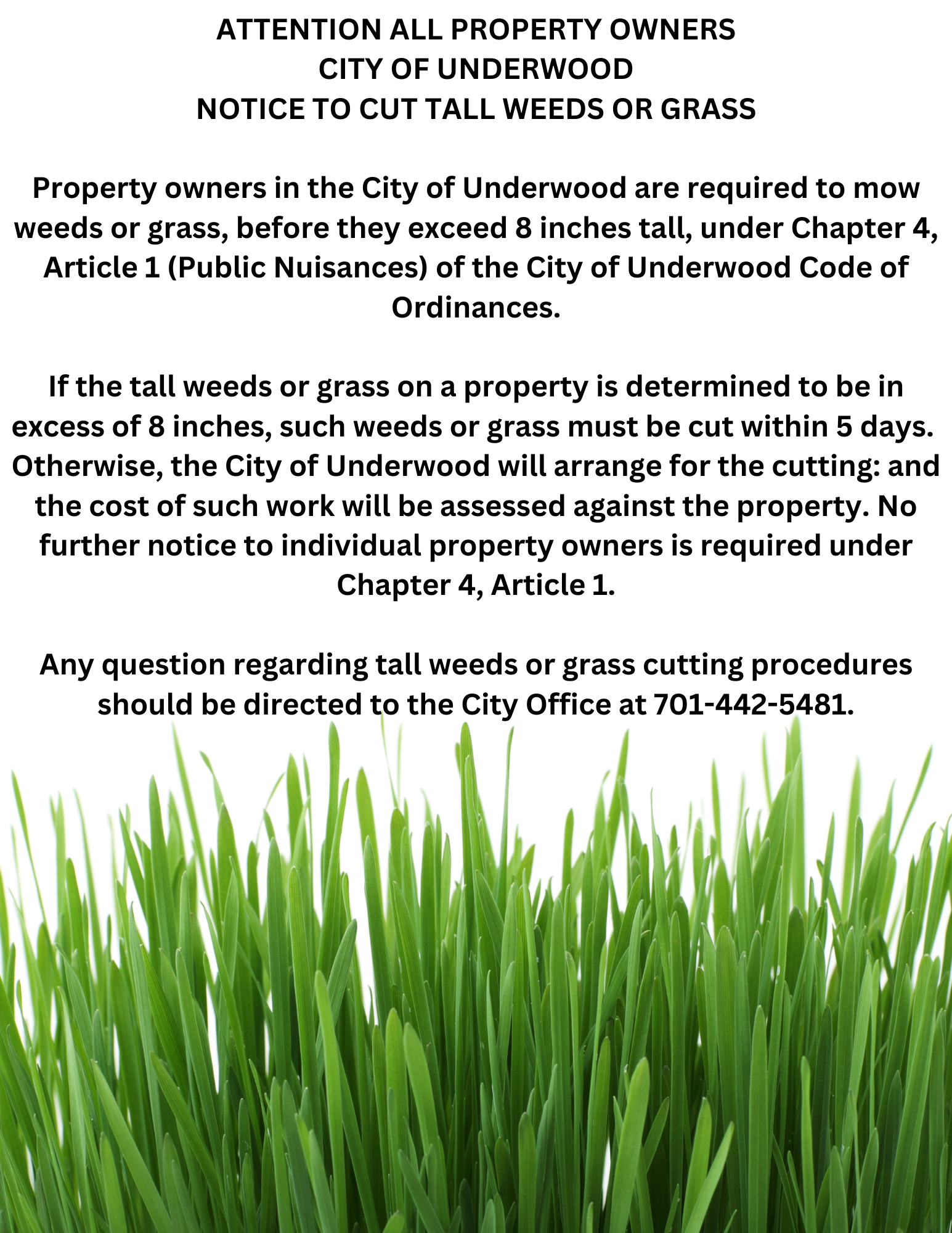 Grass and Weed Ordinance.png