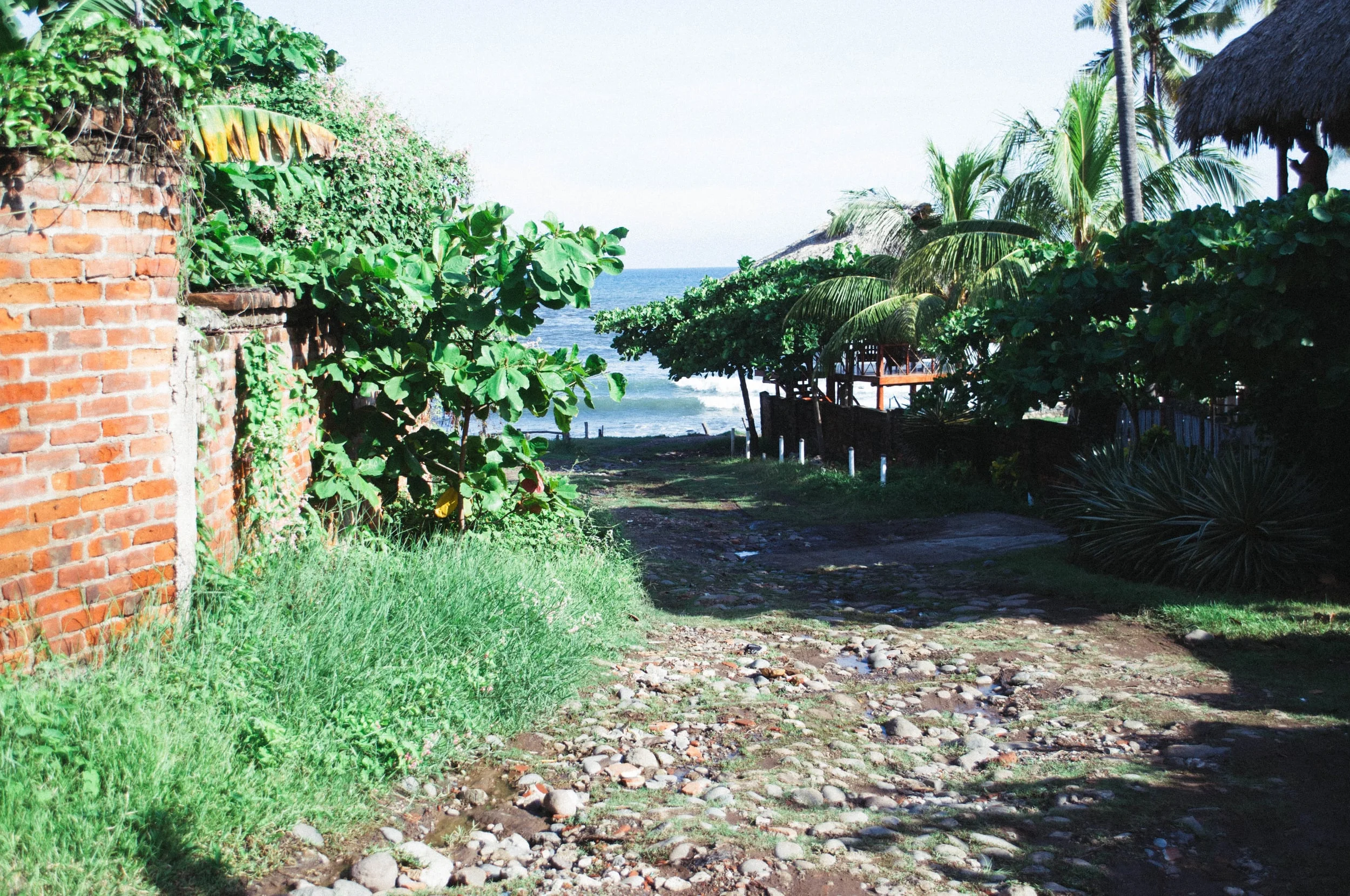 DSC_0233.jpg