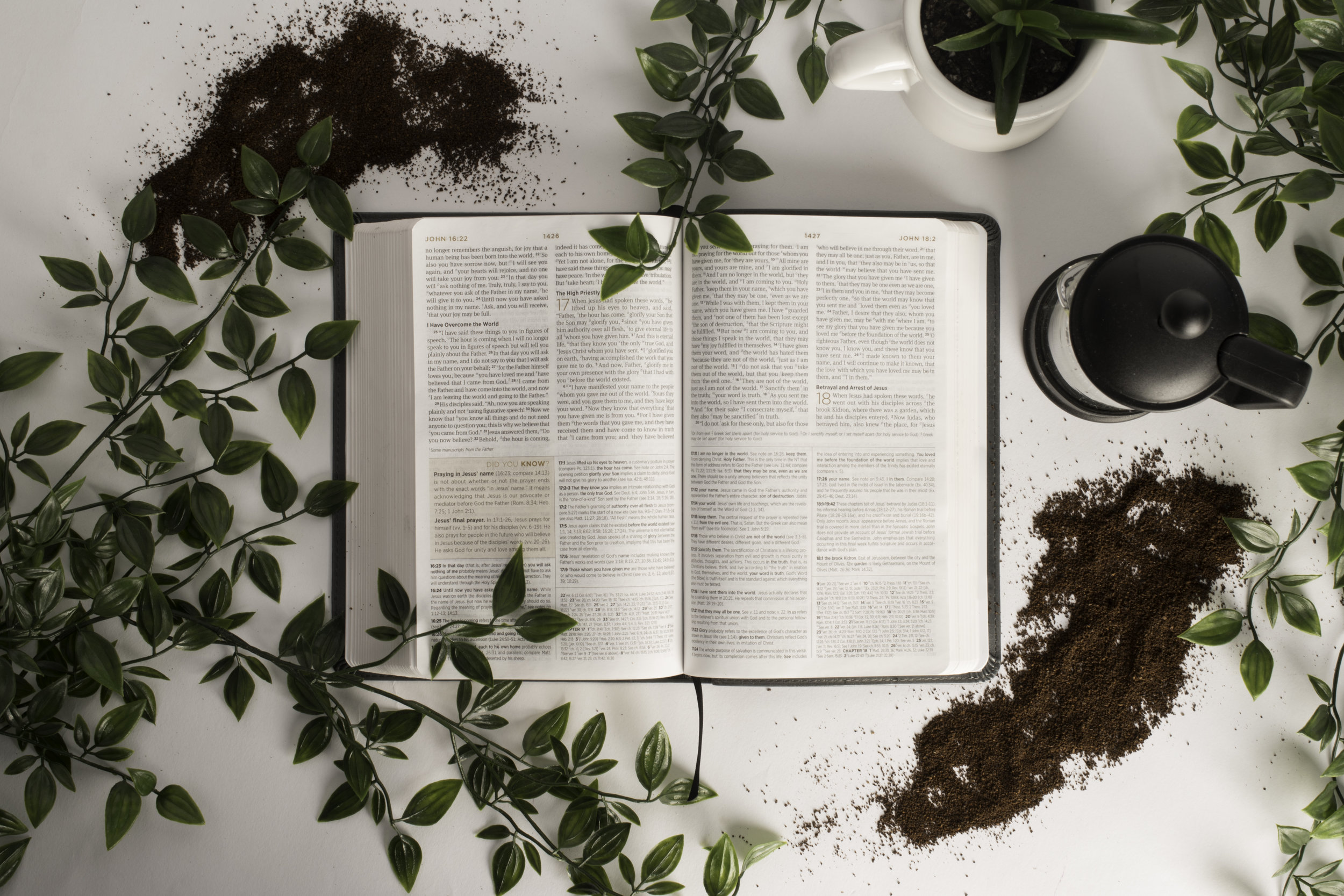 Block Course: God's Story 