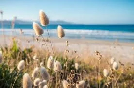 complaints procedure.jfif