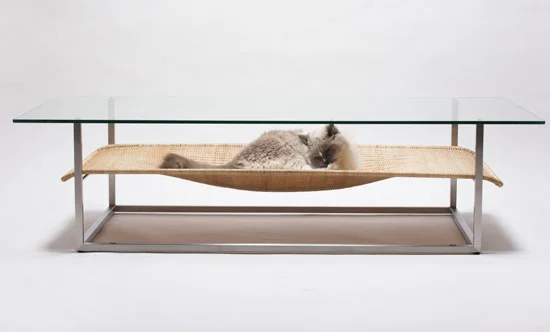 photo courtesy of supercoolpets.com