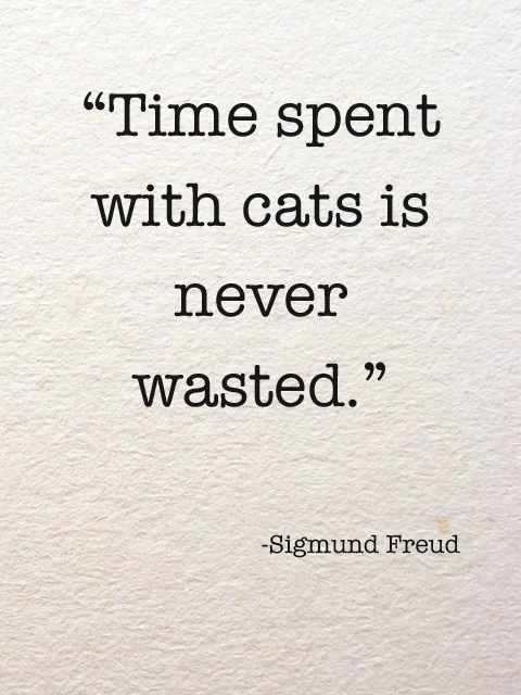 photo courtesy of weheartit.com