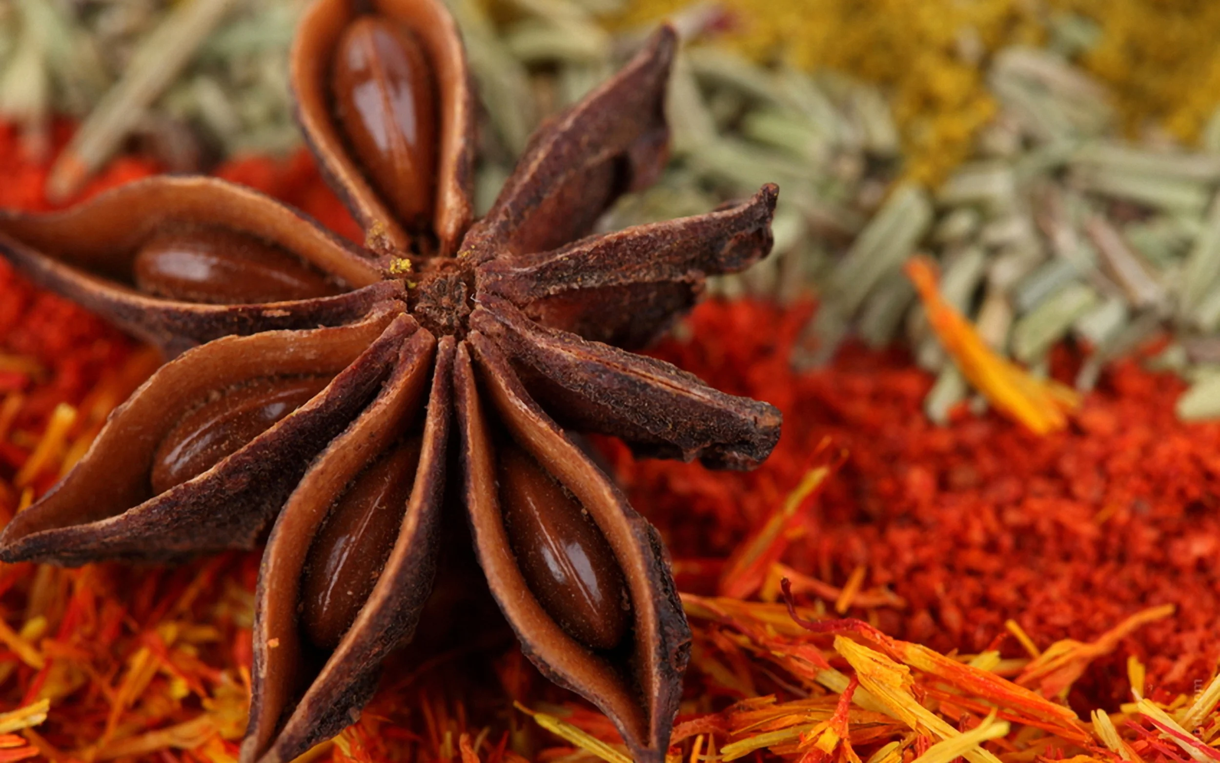 Color Exploration: Paint it Spice!
