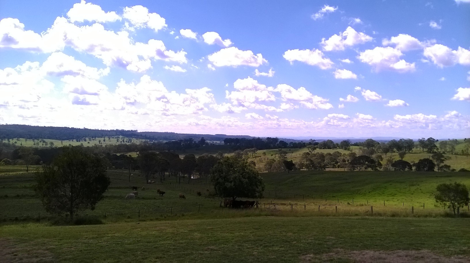 Would you record a podcast when you could sit in the sun playing Vita looking at this?