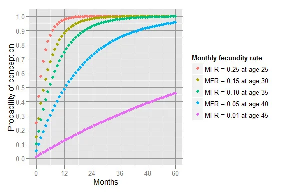 Cumulative birth rates per age.jpg