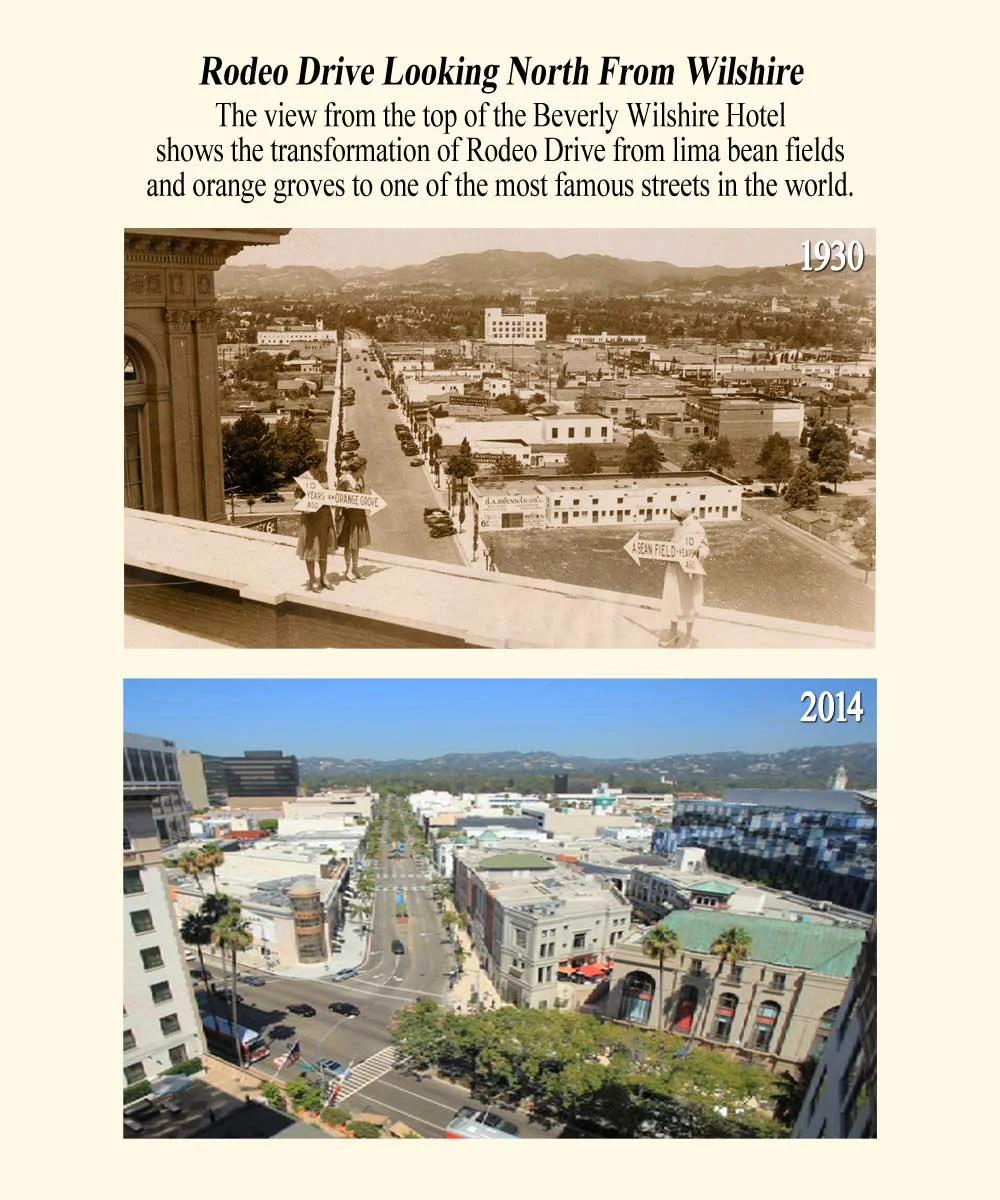 19_Rodeo-Drive-North-v01_web.jpg