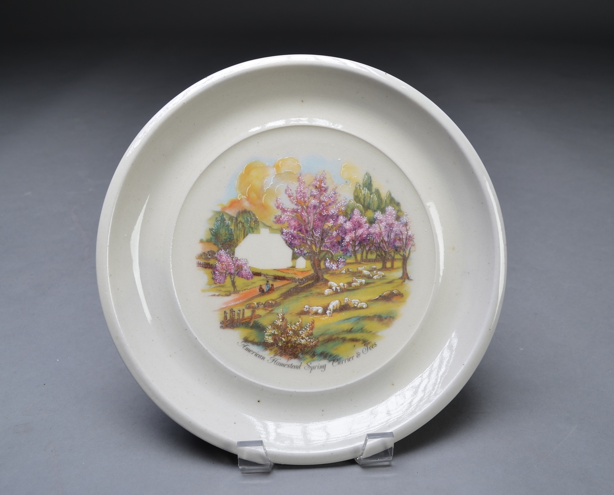 Collectable Plate (Homeless 4)