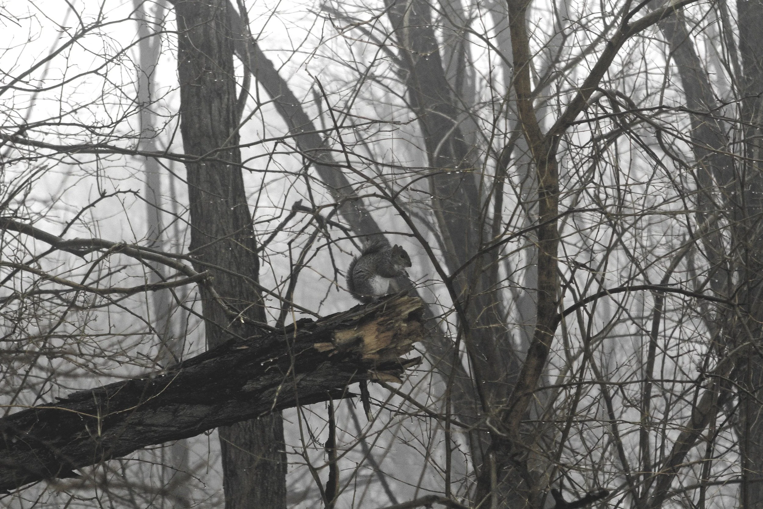 _MG_3050.jpg