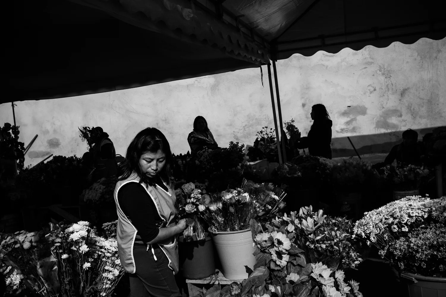 151102_ecuador_5499.jpg