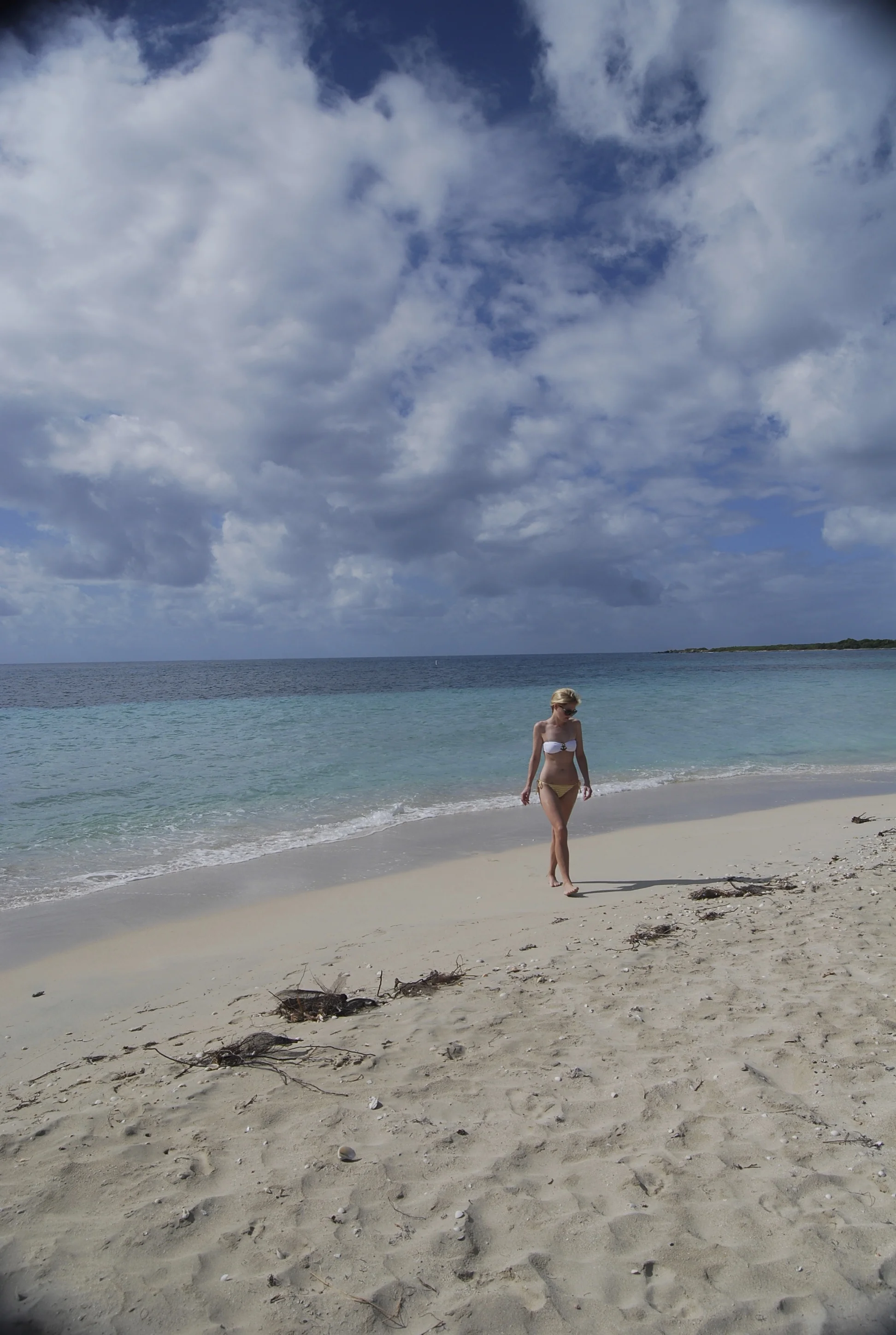 DSC_0213.jpg