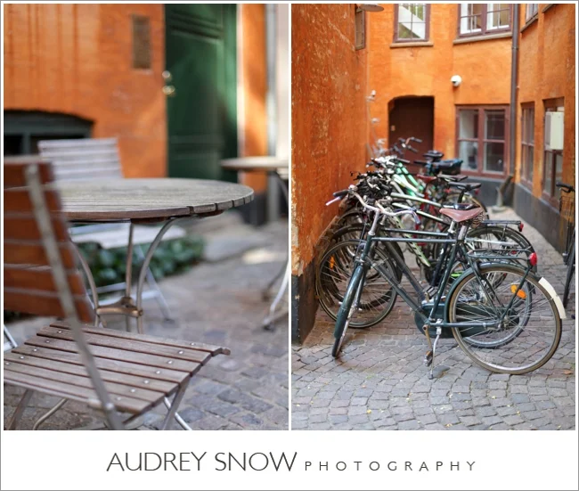 audreysnow-photography-copenhagen_2428.jpg