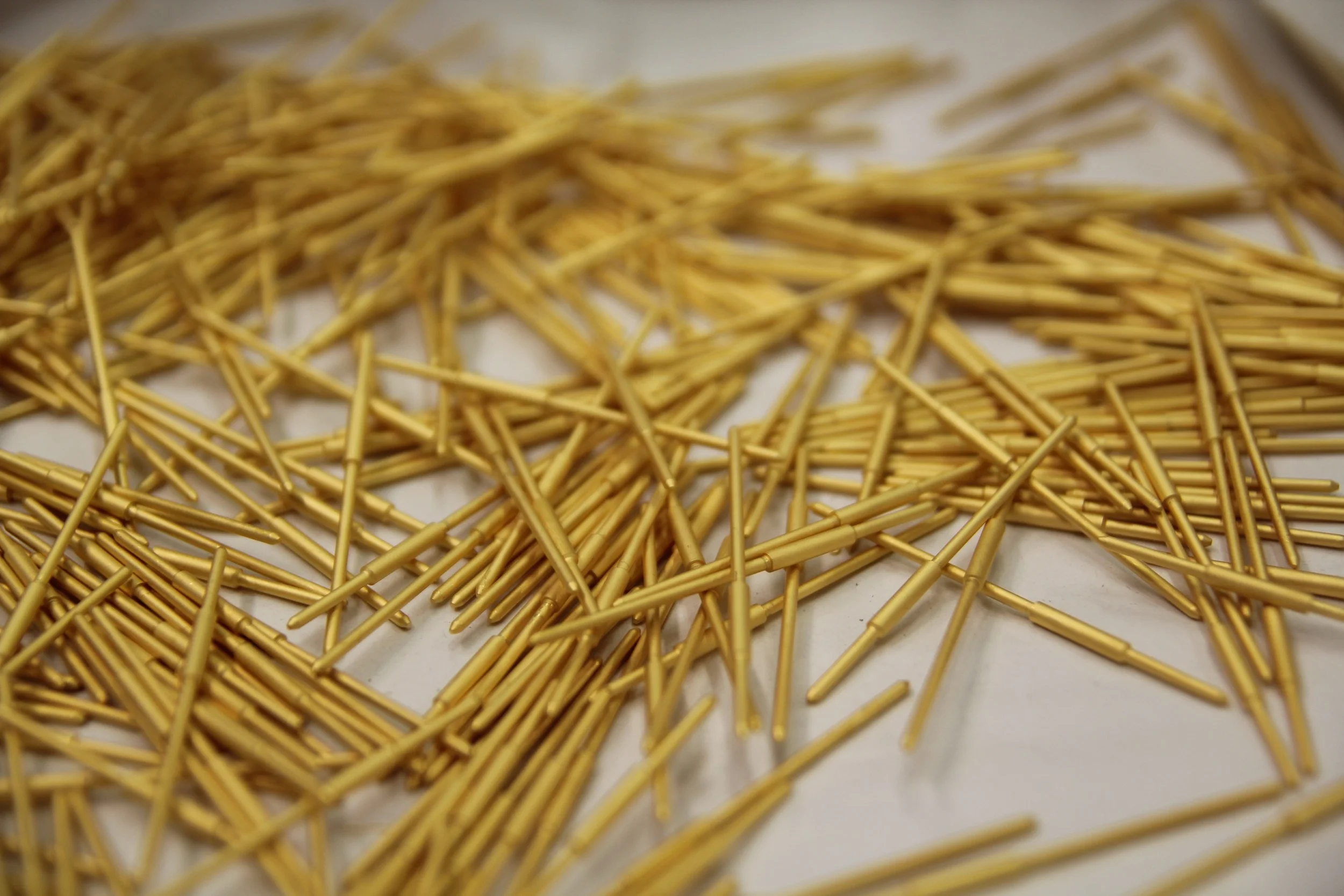 IMG_0890 - small.jpeg