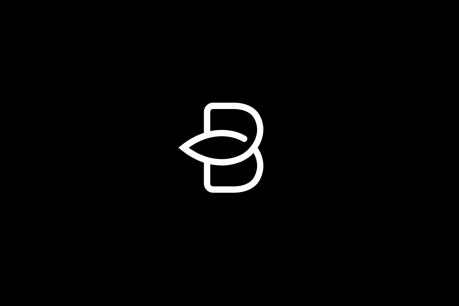 Brandmarks_BOJA.jpg