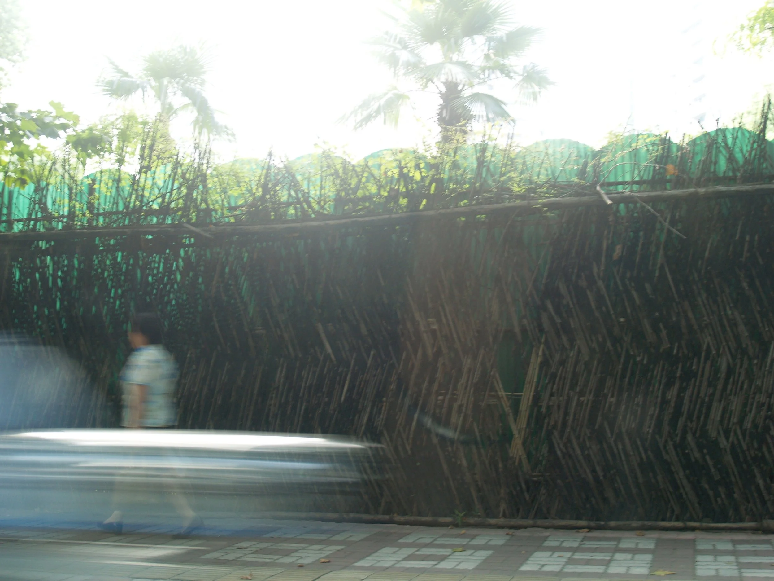 P1017285.jpg