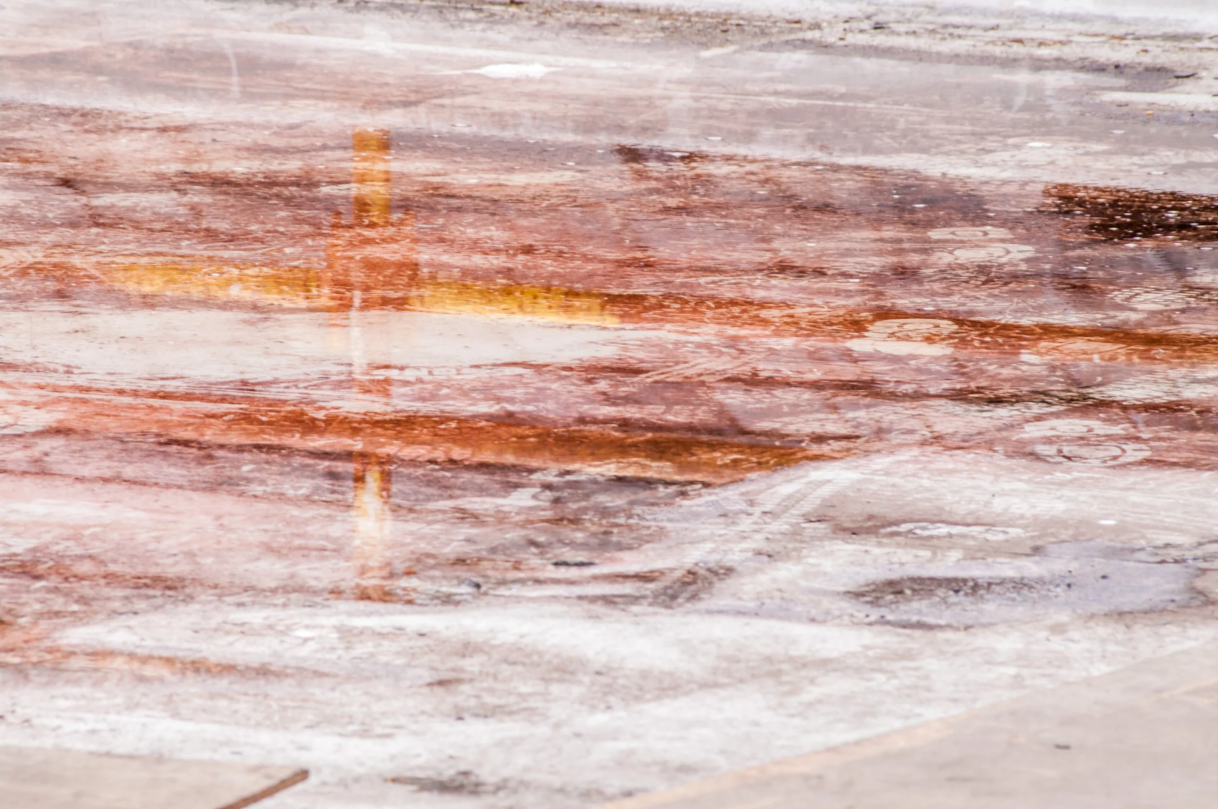 FamilyPortrait (1 of 1).jpg