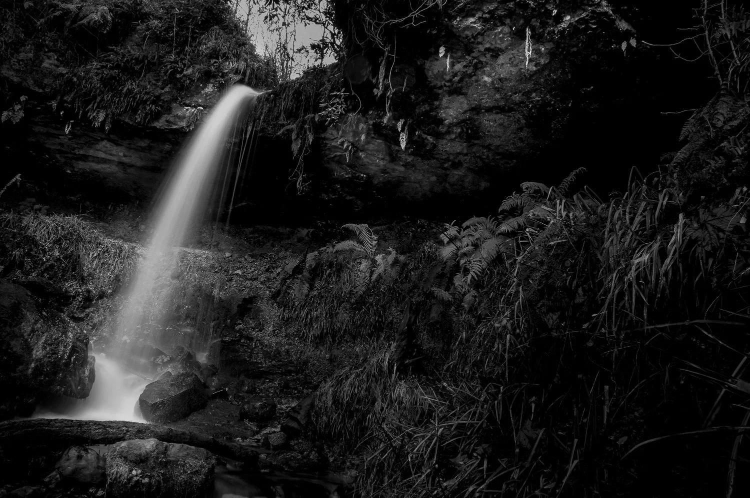 FalklandFalls (5 of 18).jpg