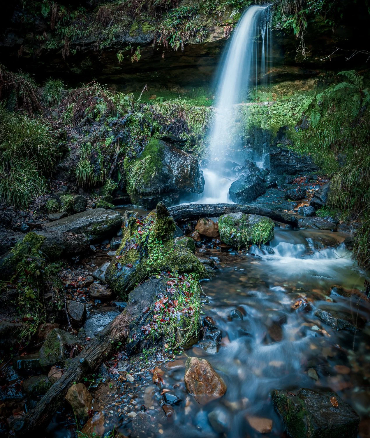 FalklandFalls (4 of 18).jpg