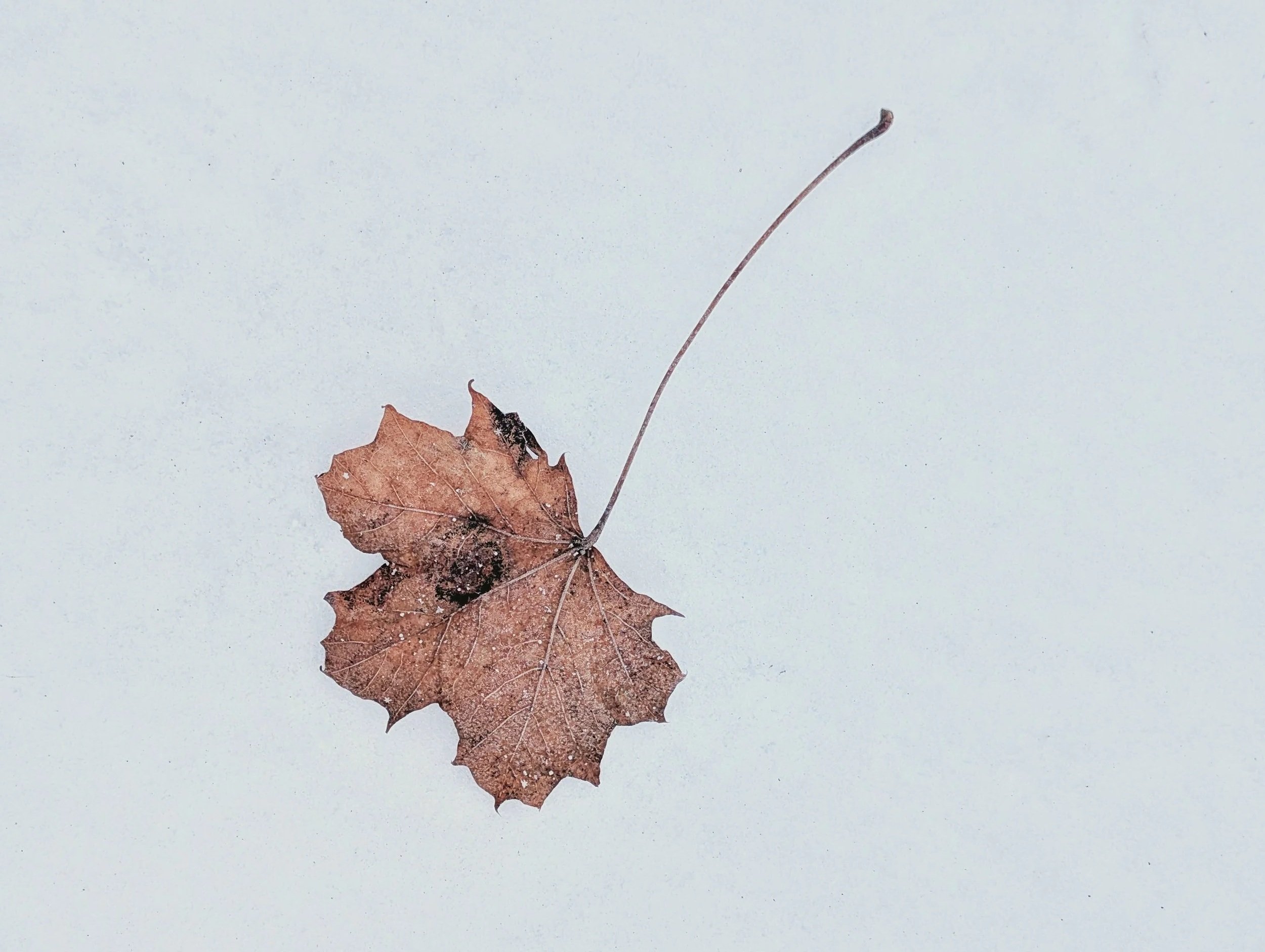 I learned today that my friend is about to die.