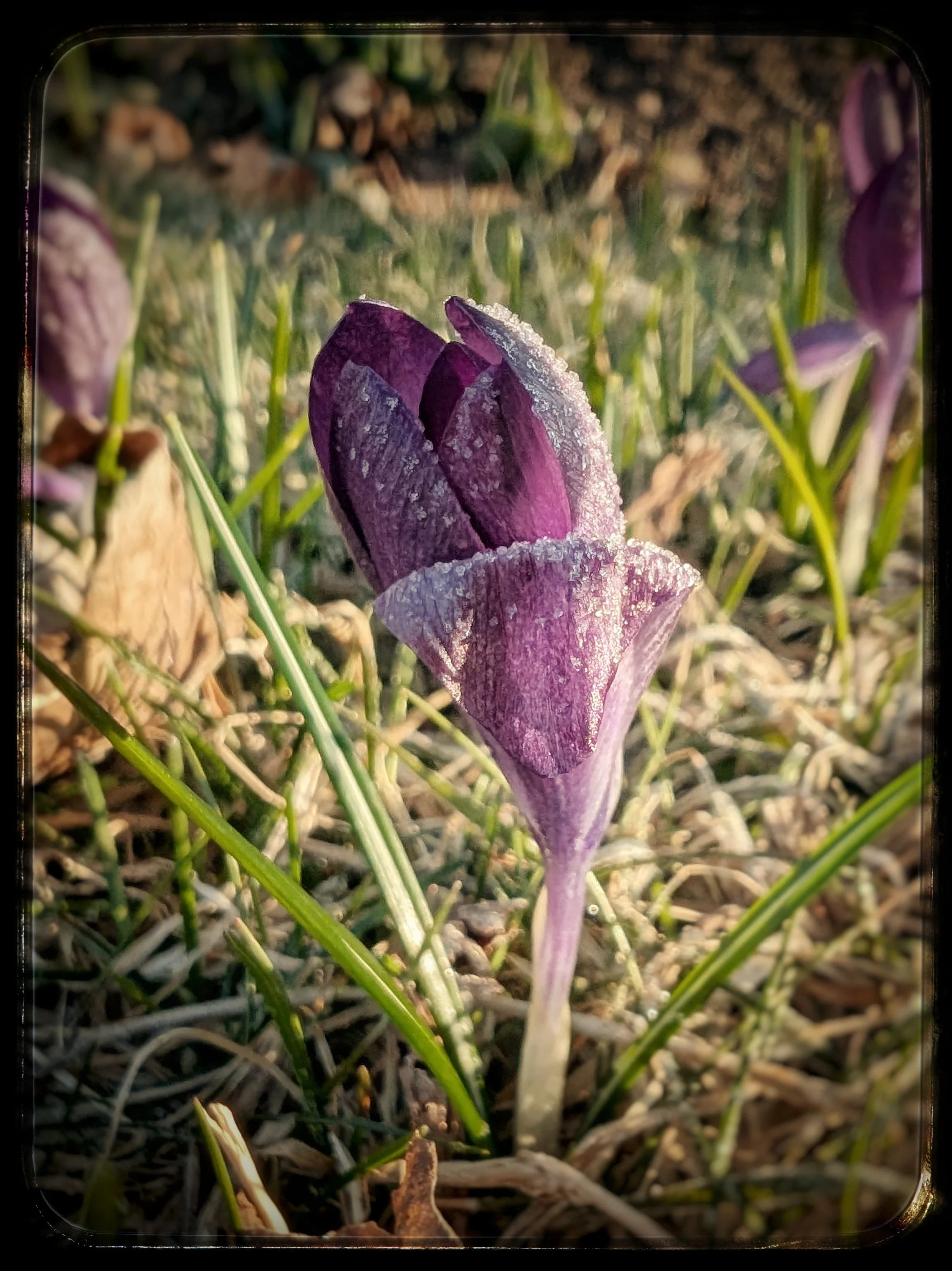 The first and the last 