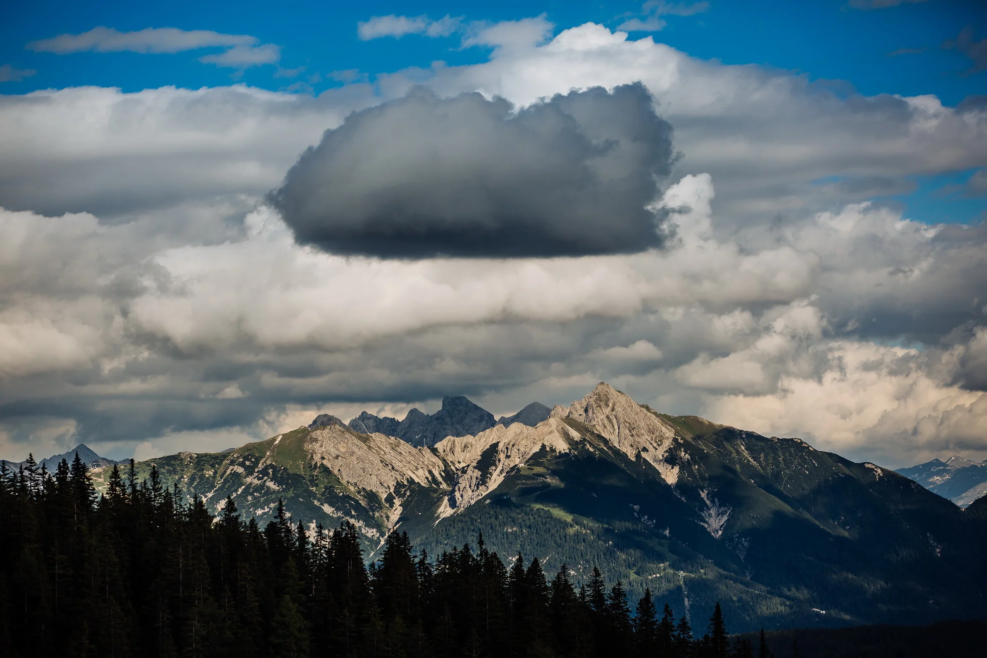 LSFT2759_resize.jpg