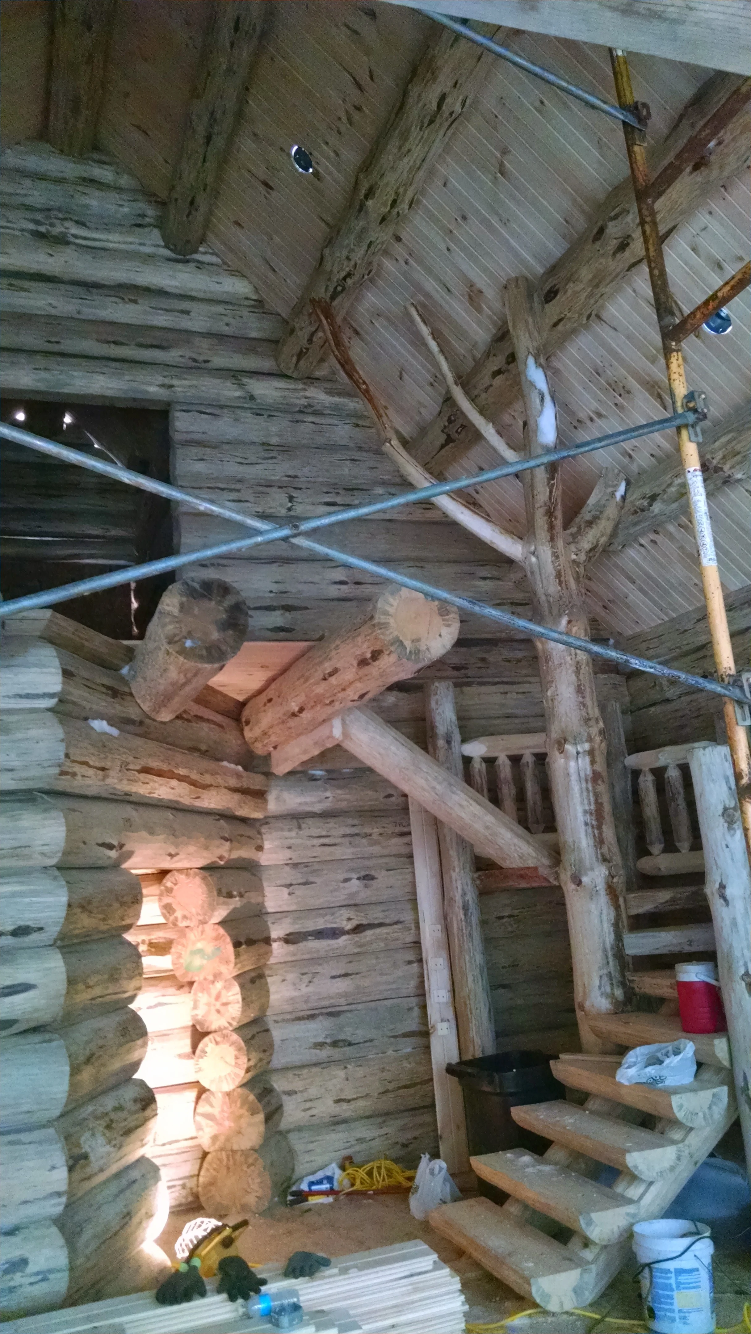 IMG_20150128_084227864.jpg