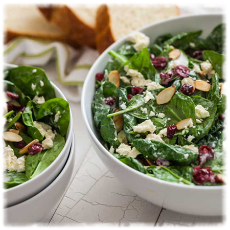 Cranberry spinach salad - square.png
