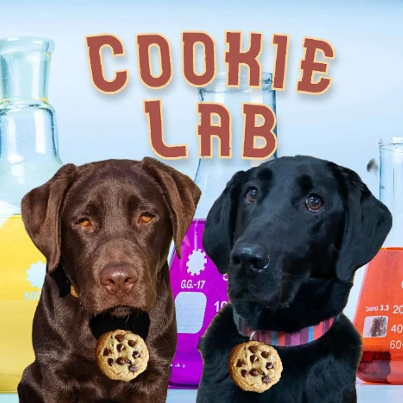 The Cookie Lab Podcast