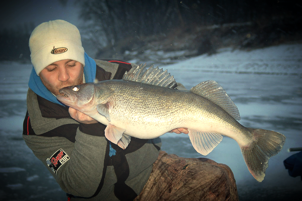 fatwalleye.jpg