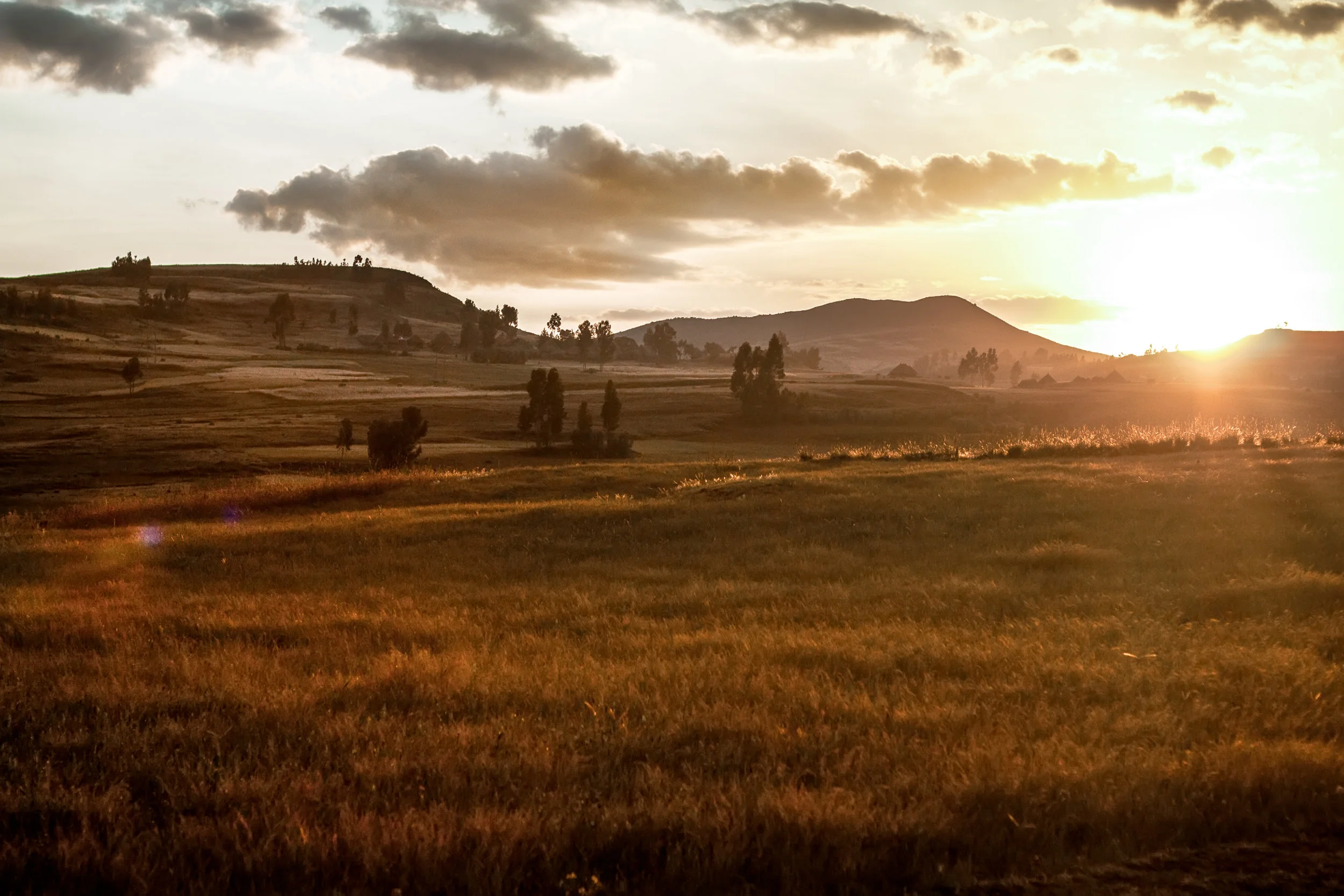 _MG_0614-Edit-Edit-Edit 2.jpg