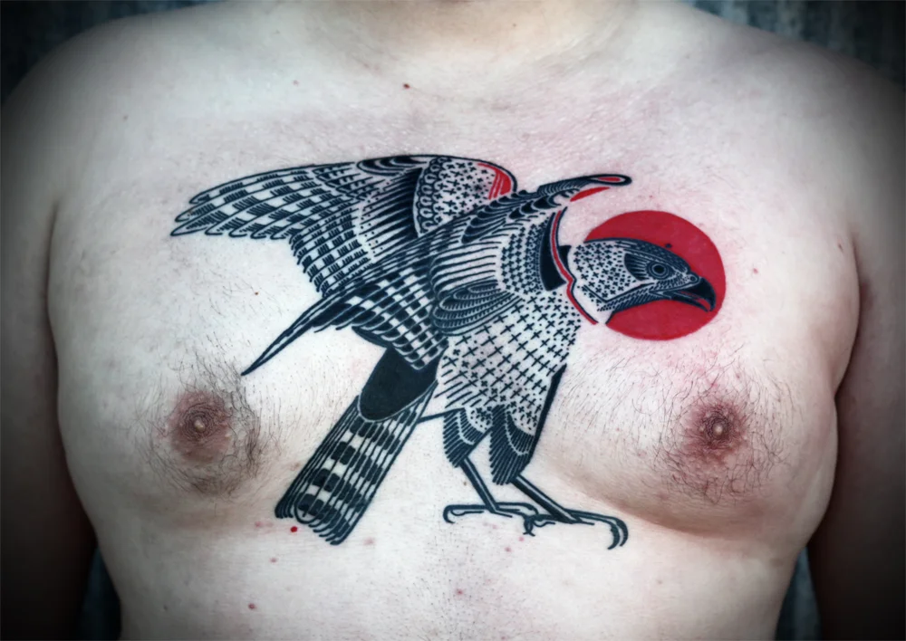 hawk1.jpg