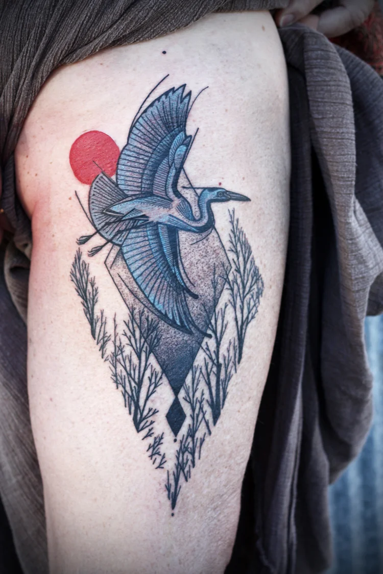 heron.jpg