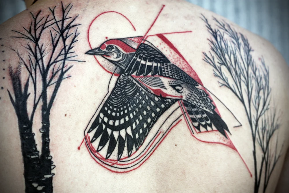 woodpecker2.jpg