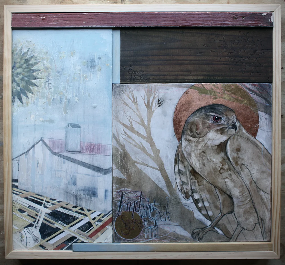 coopershawk.jpg