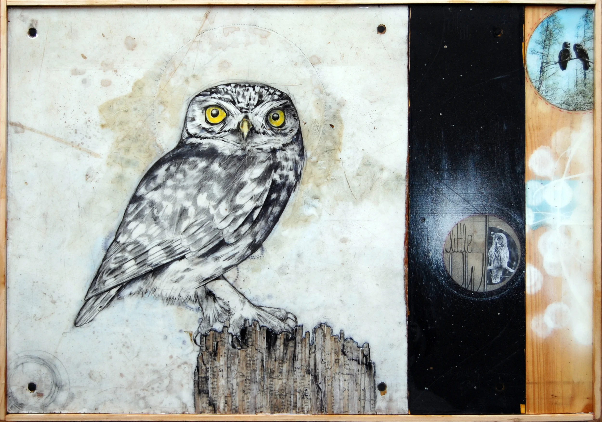 littleowl.jpg