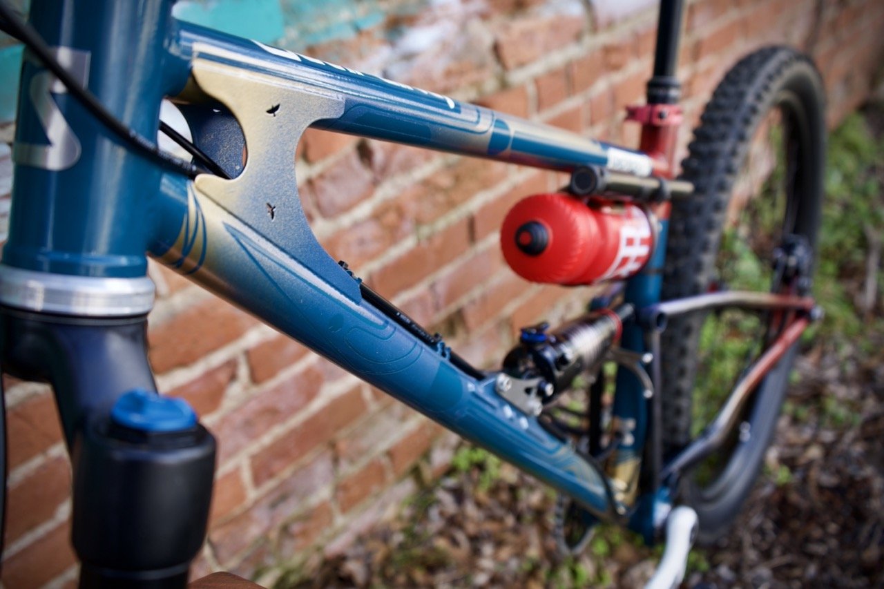 DSC02769 Large 2.jpeg