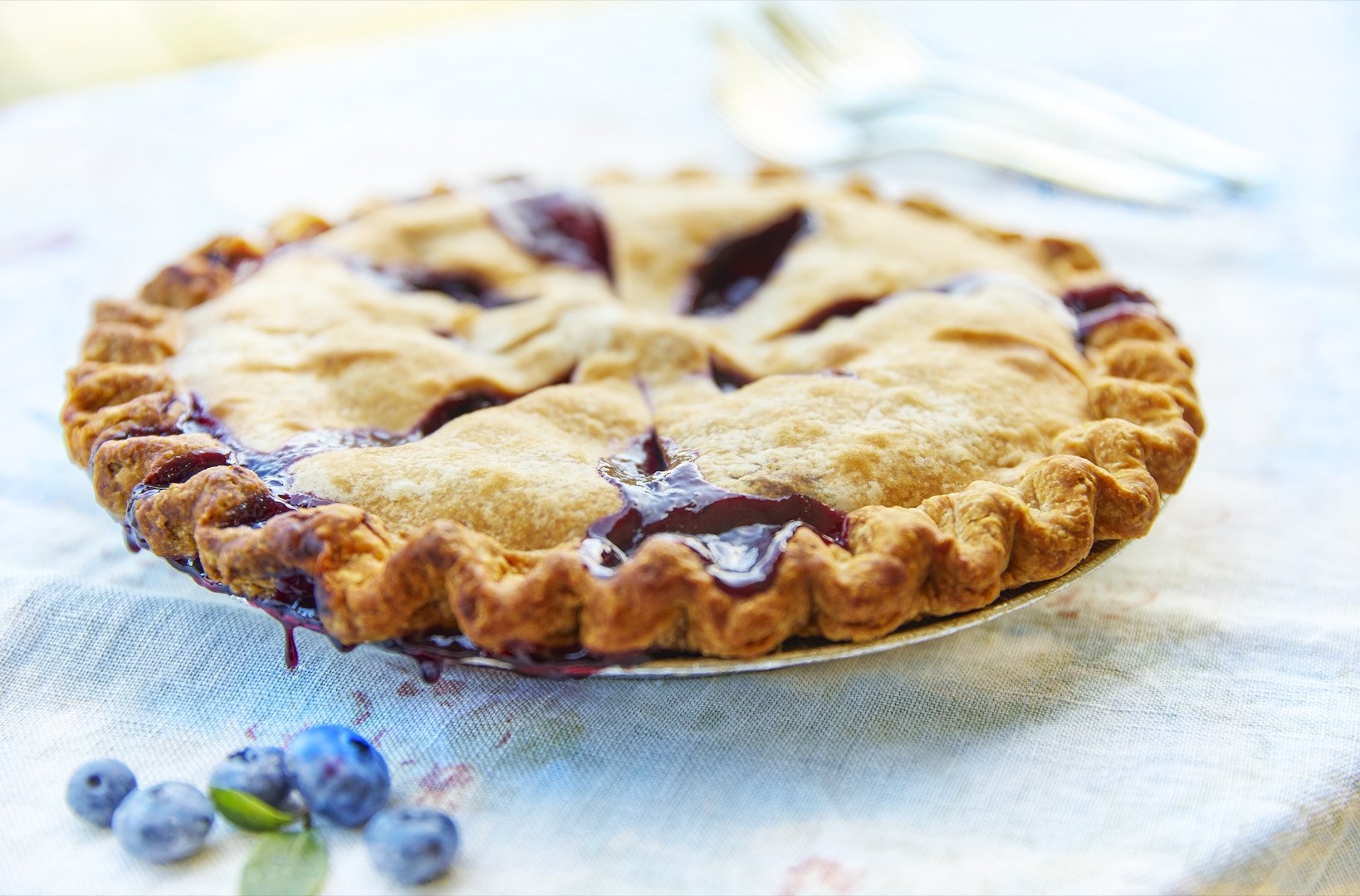 blueberry pie